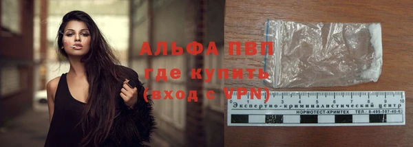СК Богородицк