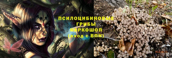 МДПВ Богородск