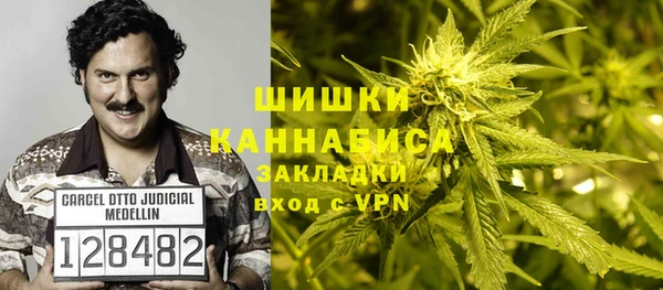 МДПВ Богородск