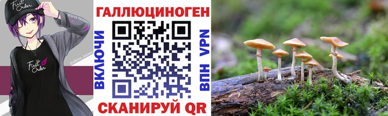 Галлюциногенные грибы Magic Shrooms  Белоозёрский 